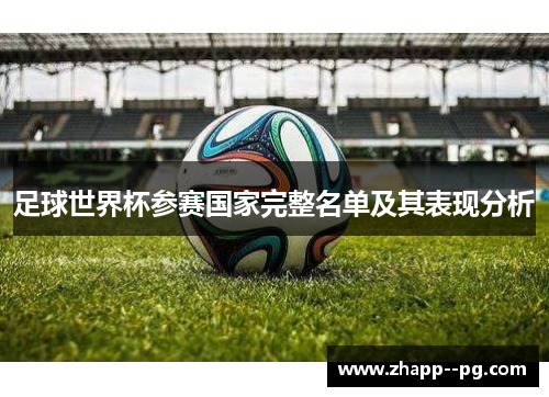 足球世界杯参赛国家完整名单及其表现分析